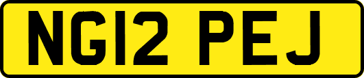 NG12PEJ