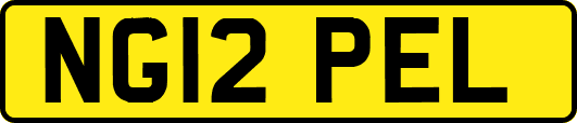 NG12PEL
