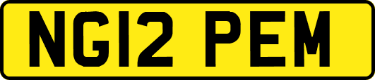 NG12PEM