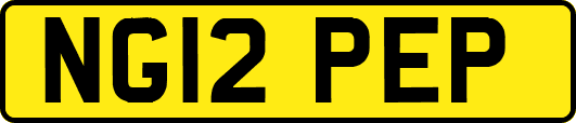 NG12PEP