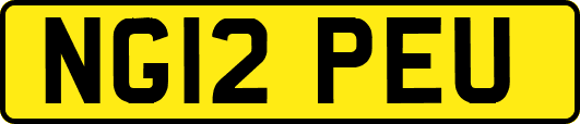 NG12PEU