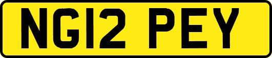 NG12PEY