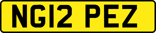 NG12PEZ