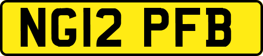 NG12PFB
