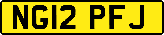 NG12PFJ