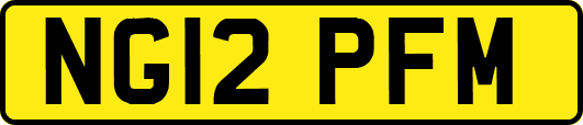 NG12PFM