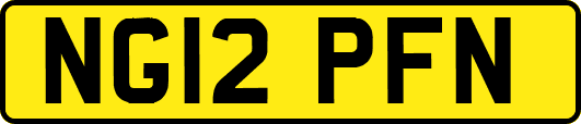 NG12PFN