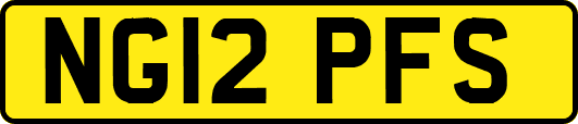 NG12PFS