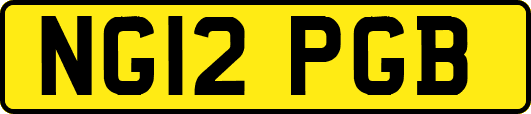 NG12PGB