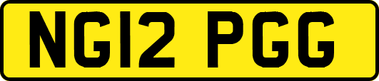 NG12PGG