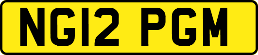 NG12PGM