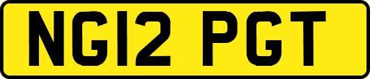 NG12PGT