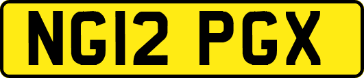 NG12PGX