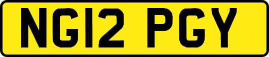 NG12PGY
