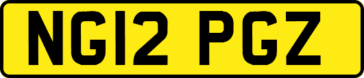 NG12PGZ