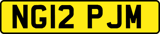 NG12PJM