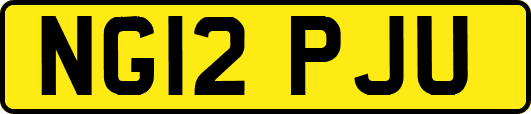 NG12PJU