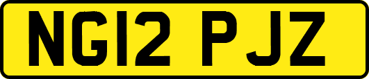 NG12PJZ