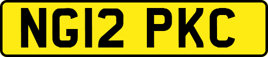 NG12PKC
