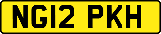 NG12PKH