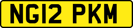 NG12PKM