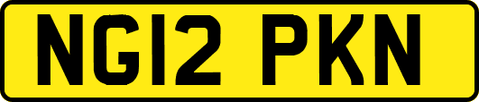 NG12PKN