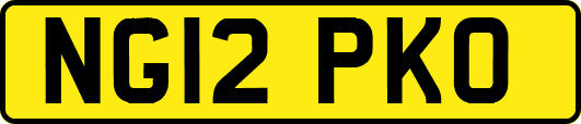 NG12PKO