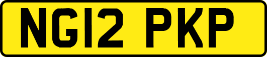 NG12PKP