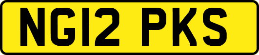 NG12PKS