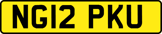 NG12PKU
