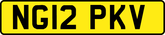 NG12PKV