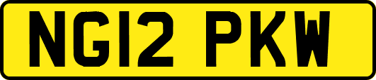 NG12PKW