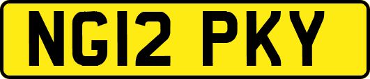 NG12PKY