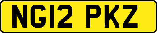 NG12PKZ