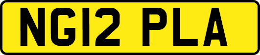 NG12PLA