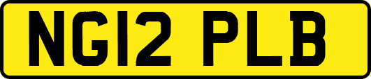 NG12PLB