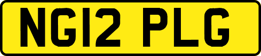 NG12PLG