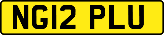 NG12PLU