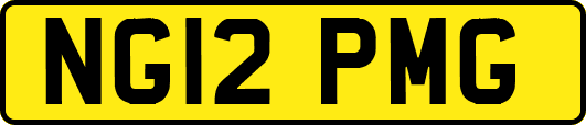 NG12PMG