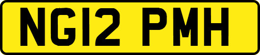 NG12PMH