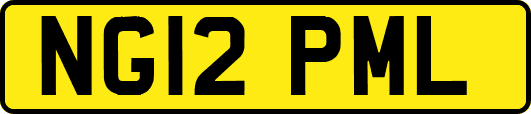 NG12PML
