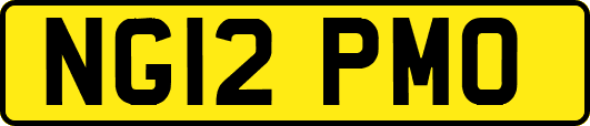 NG12PMO