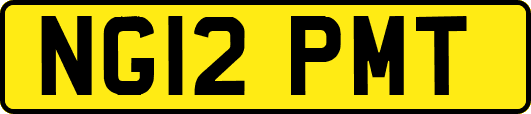 NG12PMT