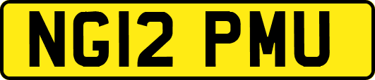 NG12PMU