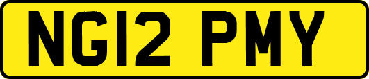 NG12PMY