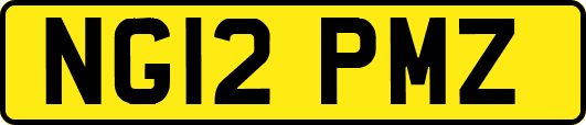 NG12PMZ