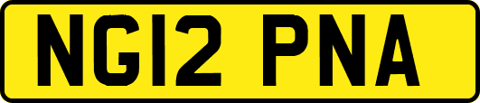 NG12PNA