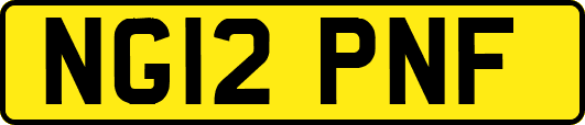 NG12PNF