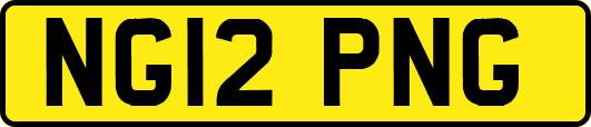 NG12PNG