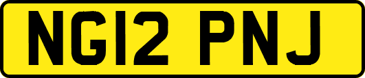 NG12PNJ
